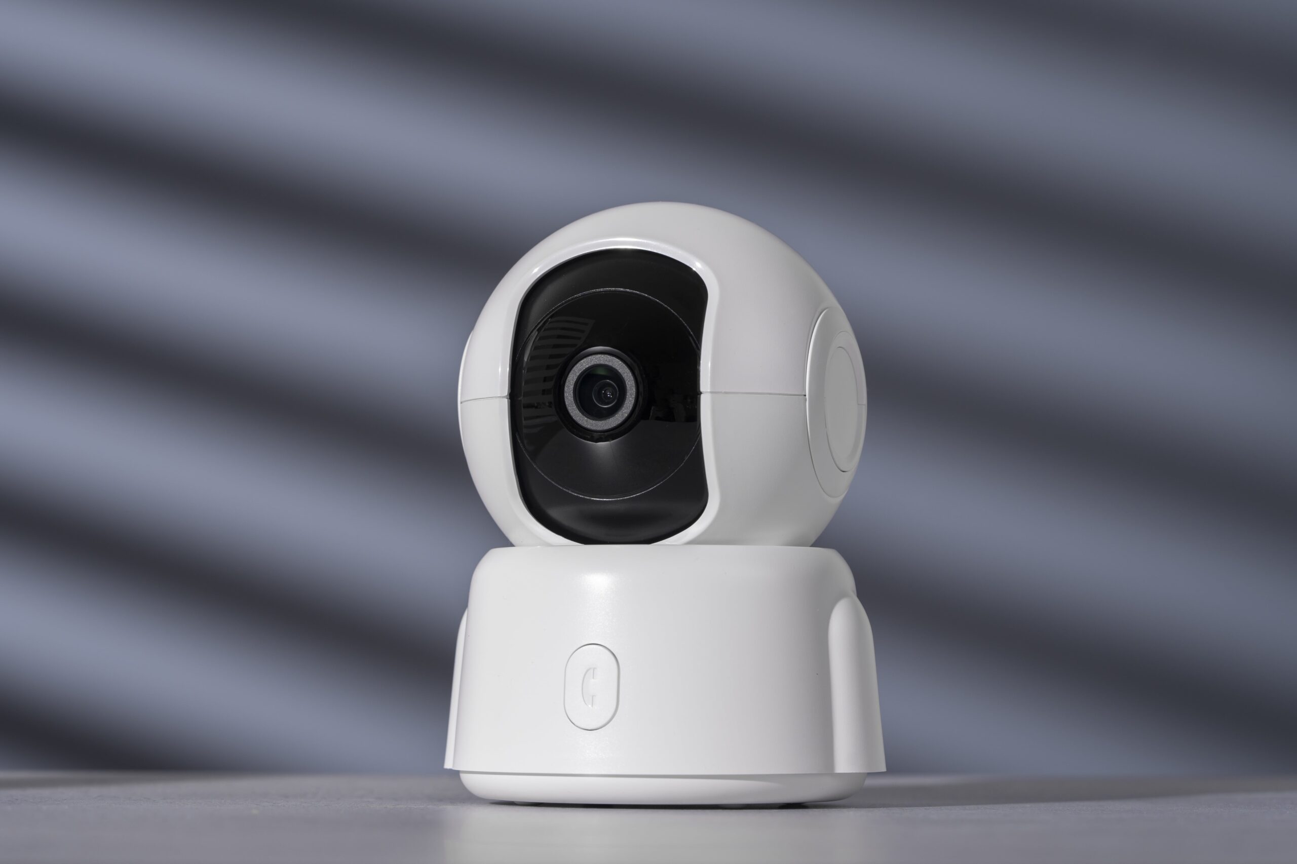 Digital Security Camera System